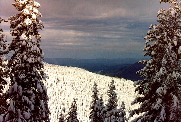 Camin's Log Retreat - a snowy day
