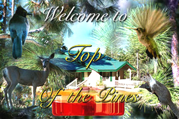 Top of the Pines logo - loading image....